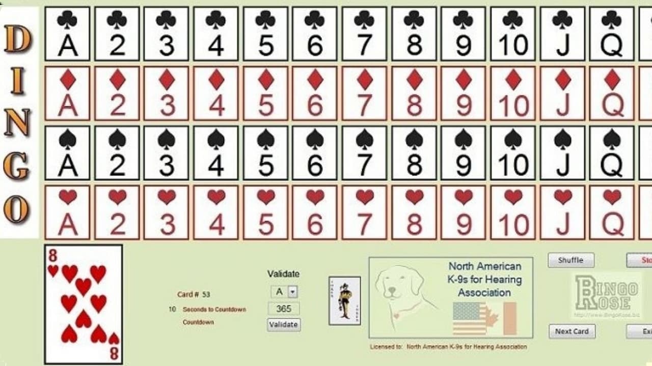 Ex. 1 - an older version of DINGO from Bingo Rose